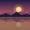 Thrise app icon