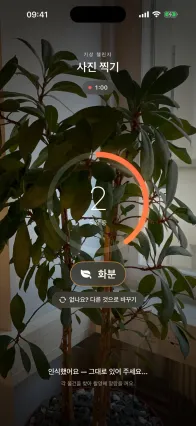 사진 찍기